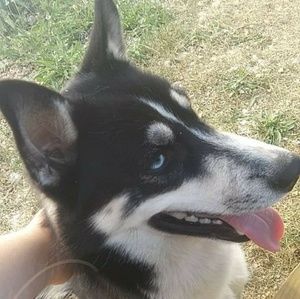 Meet your Posher, Maegan